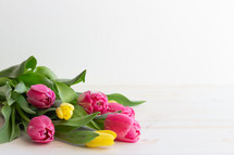tulips laying on a white wood background 