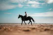 Horse riding on a beach, equestrian man riding on a horse