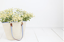 white daises in a bag 
