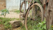 old bike leaning against a tree in Kenya 