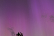 pink Aurora pillars and a few wispy clouds