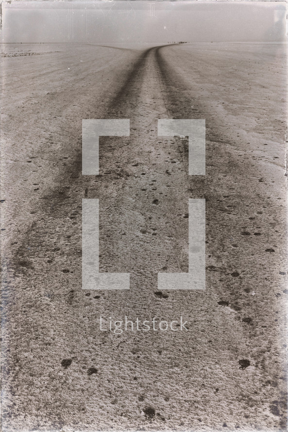 dirt road tracks in the desert 
