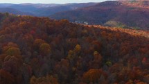 aerial view over an autumn mountain forest 