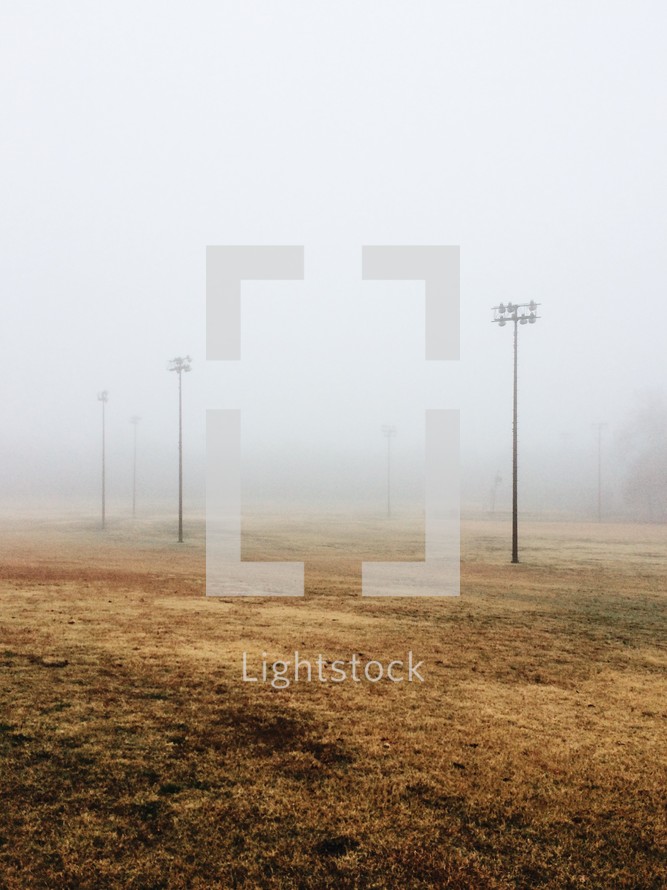 lampposts over a foggy field 