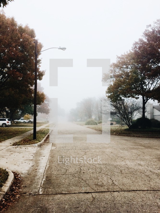 foggy neighborhood street 