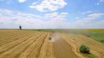 Aerial shot of combine harvester gathers the wheat in summer day. Harvesting grain field, crop season.