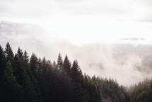clouds and fog over trees in a mountain forest 