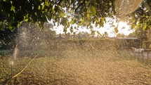 Sprinkler watering a field at sunset