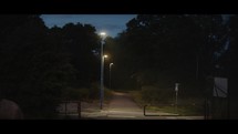 Street Lamps on a Foggy Evening