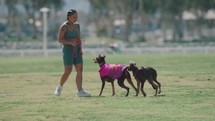 Woman playing with her dogs in the park