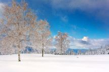winter snow scene 