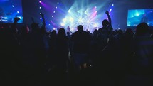 audience dancing at a concert 