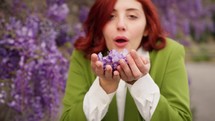 Blowing On Purple Wisteria Flowers