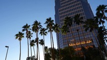 Palm trees in front of office buildings downtown in a city