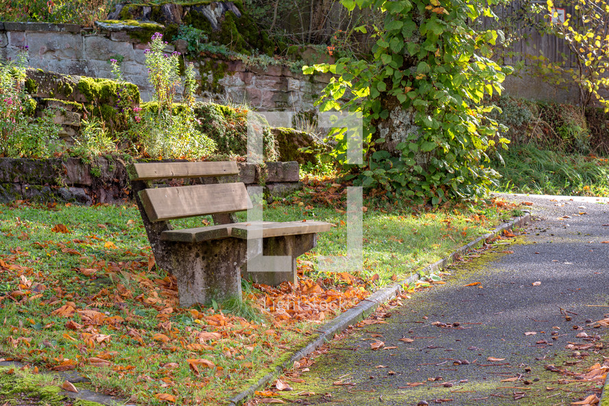 bench beside a park trail 