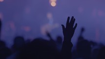 worshiping hands at a concert 