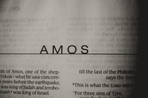 Open BIble in book of Amos