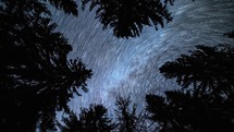Startrails of milky way galaxy stars motion in dark forest silhouette looking up in starry night sky astronomy Time-lapse comet effect 4K
