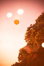 balloon against the sky and bokeh lights 