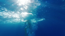 Happy little boy jumping in pool blue clear water, fun for children. Summer swim, underwater leisure. Funny kid, enjoy diving. Extreme angle. High quality 4k footage