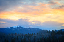 Snow capped mountain landscape at sunset near forest in Apraho National Forest, Colorado