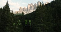 Forest and mountains