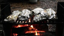 cooking food in foil over a campfire 