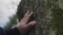 close up of a hand touching a tree