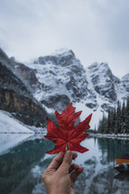 a person holding up a red leaf in front of Moraine Lake 