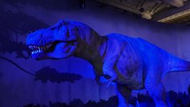 Animated Tyrannosaurus rex at the Natural History Museum in London