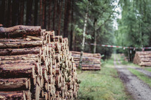 logging 