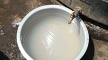 filling a bowl with water from a spigot