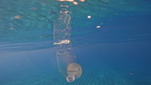 Waterbottle floating in blue ocean water