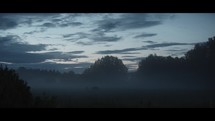 Horses grazing in a field on a foggy evening