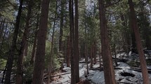 Snow in Yosemite Valley