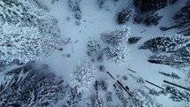 aerial view over a winter forest