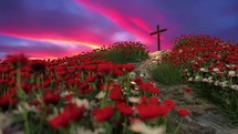 Cross surrounded by roses at sunrise