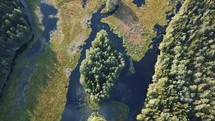 aerial view over a forest and river 