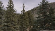 Rocky Mountain scenes 