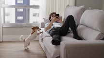 Happy Handsome Caucasian Man Using Smartphone in Cozy Living Room at Home. Man Resting on Comfortable Sofa. He's Browsing the Internet and Checking Videos and plays with dog pet
