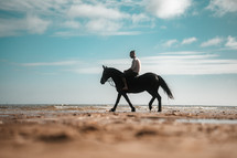 Horse riding on a beach, equestrian man riding on a horse