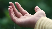 Soft raindrops falling on woman hand. Close-up water catches. Wet palm, rainfall. Beautiful tropical weather in green forest.Purity, balance, ecosystem, life recovery. High quality 4k footage