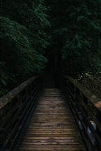 wood footbridge in a forest 