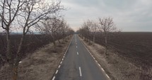 Aerial Drone Shot Through Lonely Empty Road Between Bare Trees. 