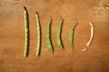 green beans from the garden 