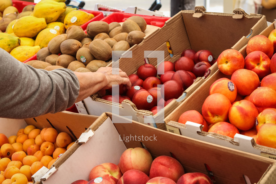 a woman shopping for fruit at a farmers market 