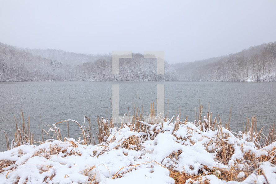 The snowy shore of Dog Run Lake, West Virginia during winter with trees and fog in the background