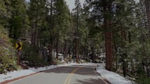 Road in Yosemite Valley