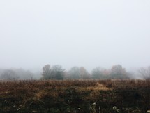 fog over a rural countryside 