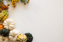 Gourds on a white background 